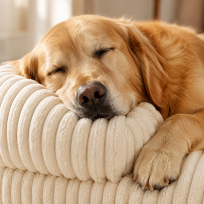 CuddleCloud™ Large and Small Plush Bolster Dog Bed