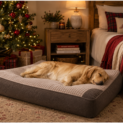 CloudRest™ Comfort Dog Cushion