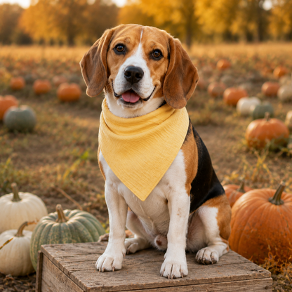 CloudKnot™ Fall Cotton Dog Bandana