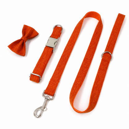 Walkwear™  Limited Edition Pumpkin Spice Dog Collar, Leash & Bow Tie Set