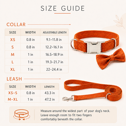 Walkwear™  Limited Edition Pumpkin Spice Dog Collar, Leash & Bow Tie Set